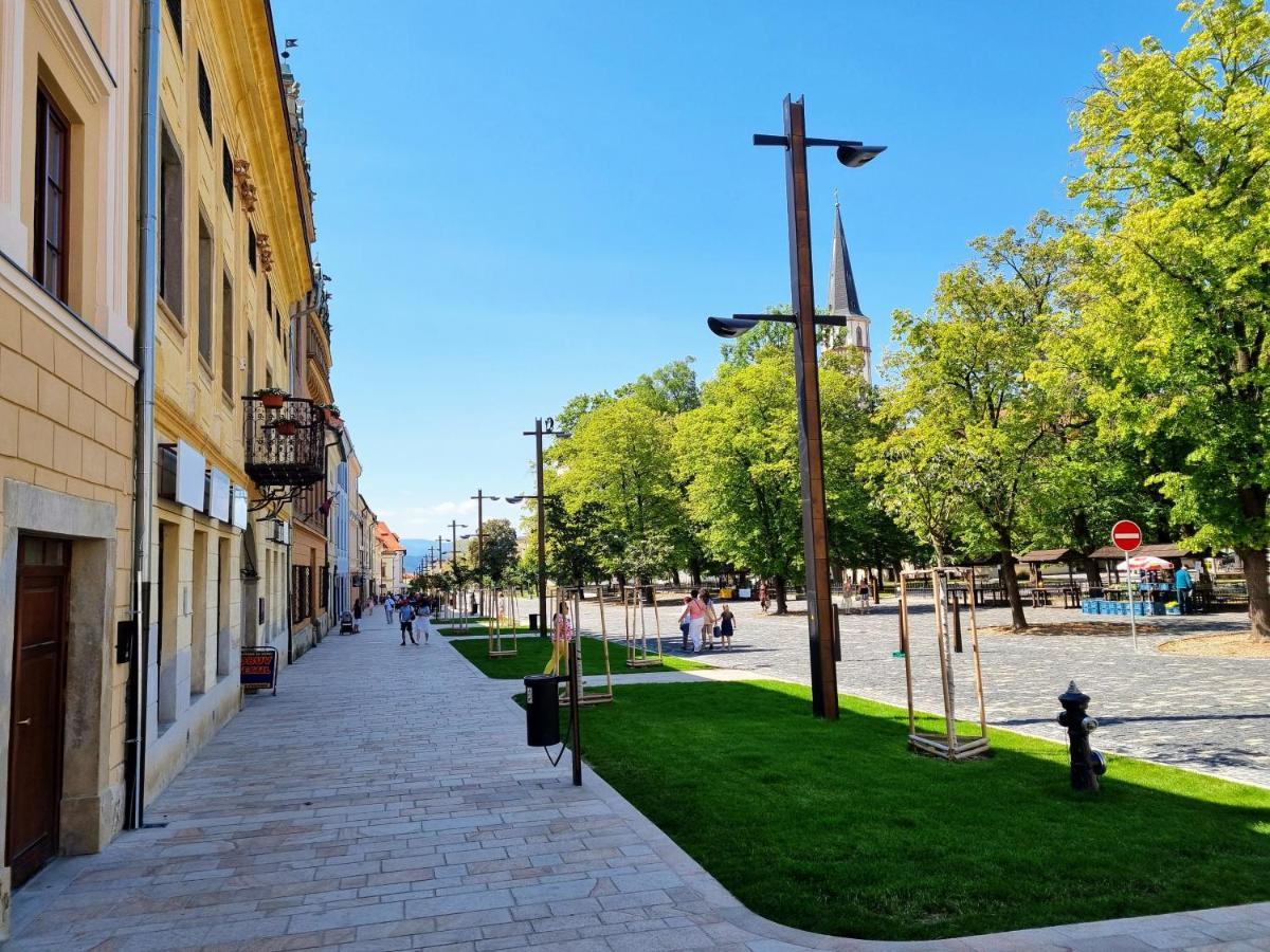 Apartment In A Historical House In The Center Of Левоча Экстерьер фото