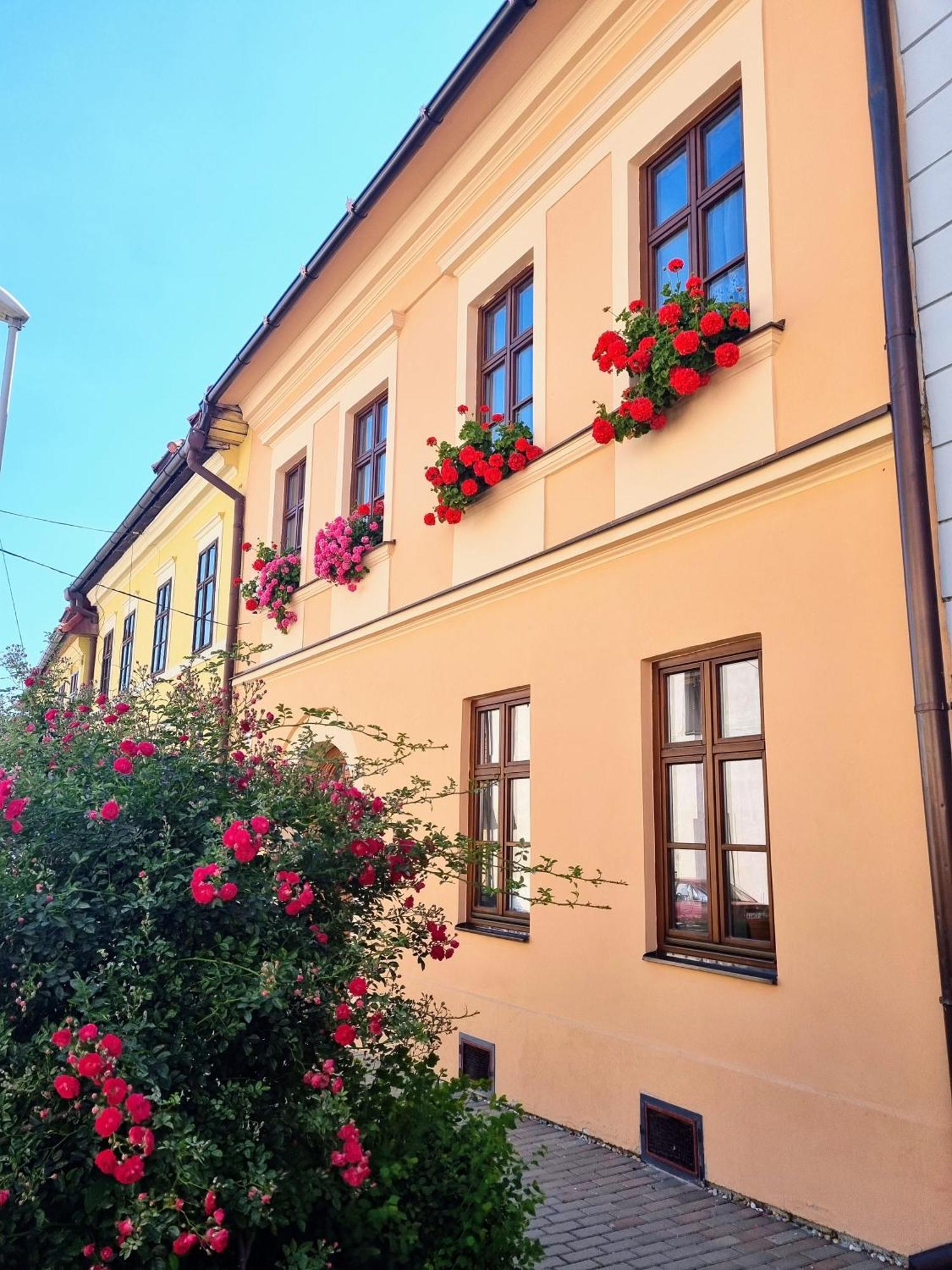 Apartment In A Historical House In The Center Of Левоча Экстерьер фото